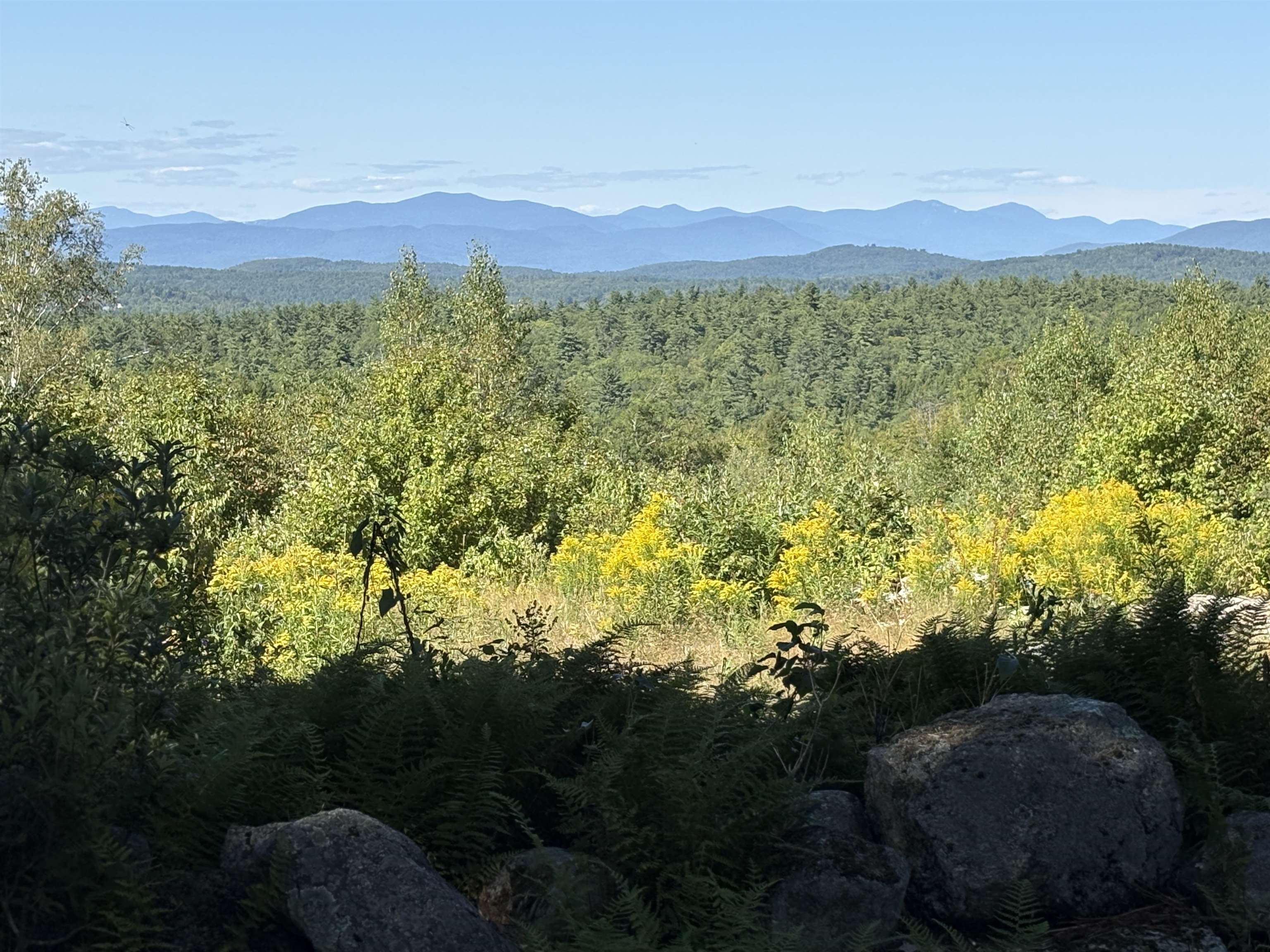 65 Tucker Mountain Road Meredith, NH 03253 - Photo 2 of 44