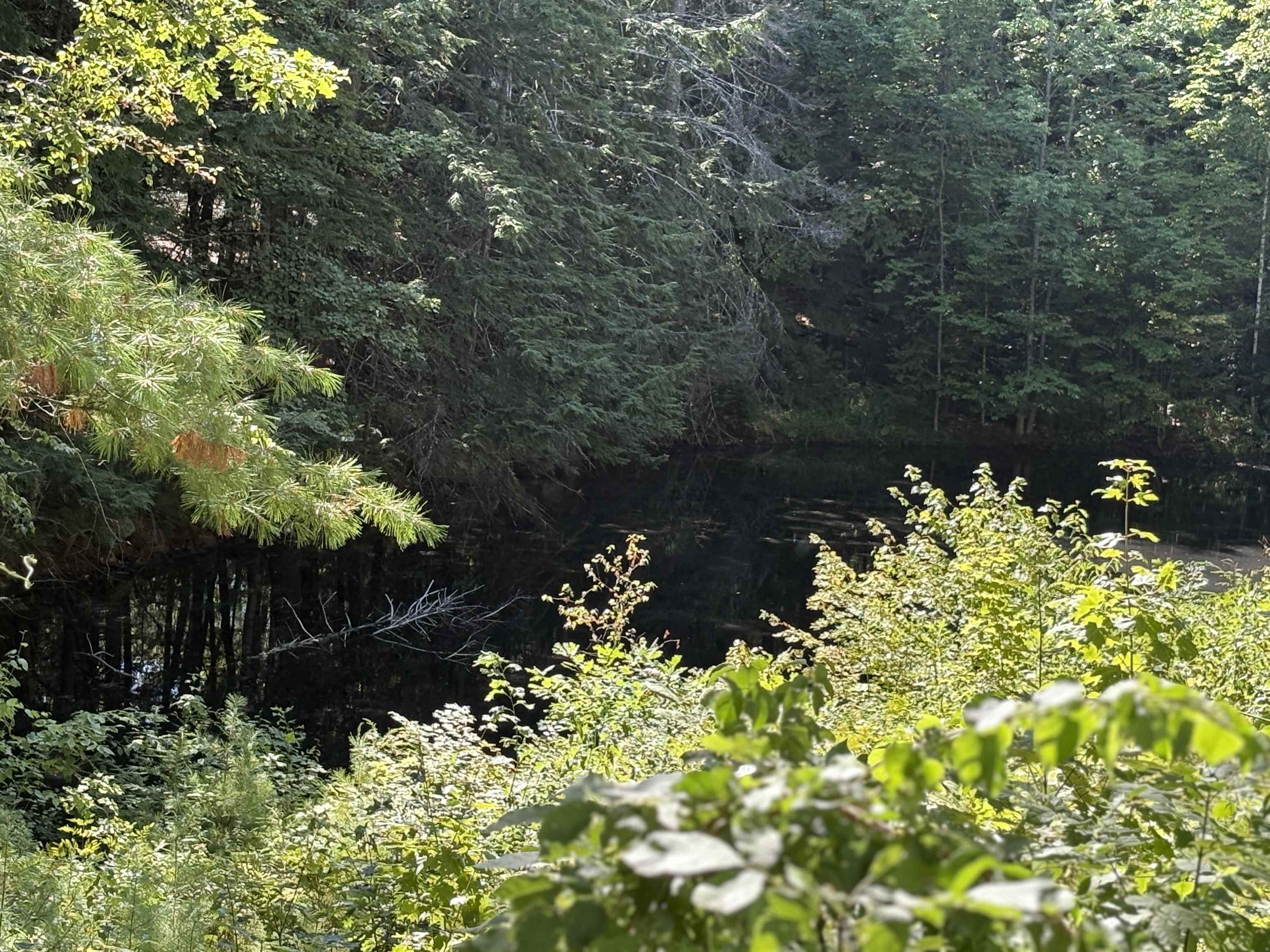 65 Tucker Mountain Road Meredith, NH 03253 - Photo 34 of 44