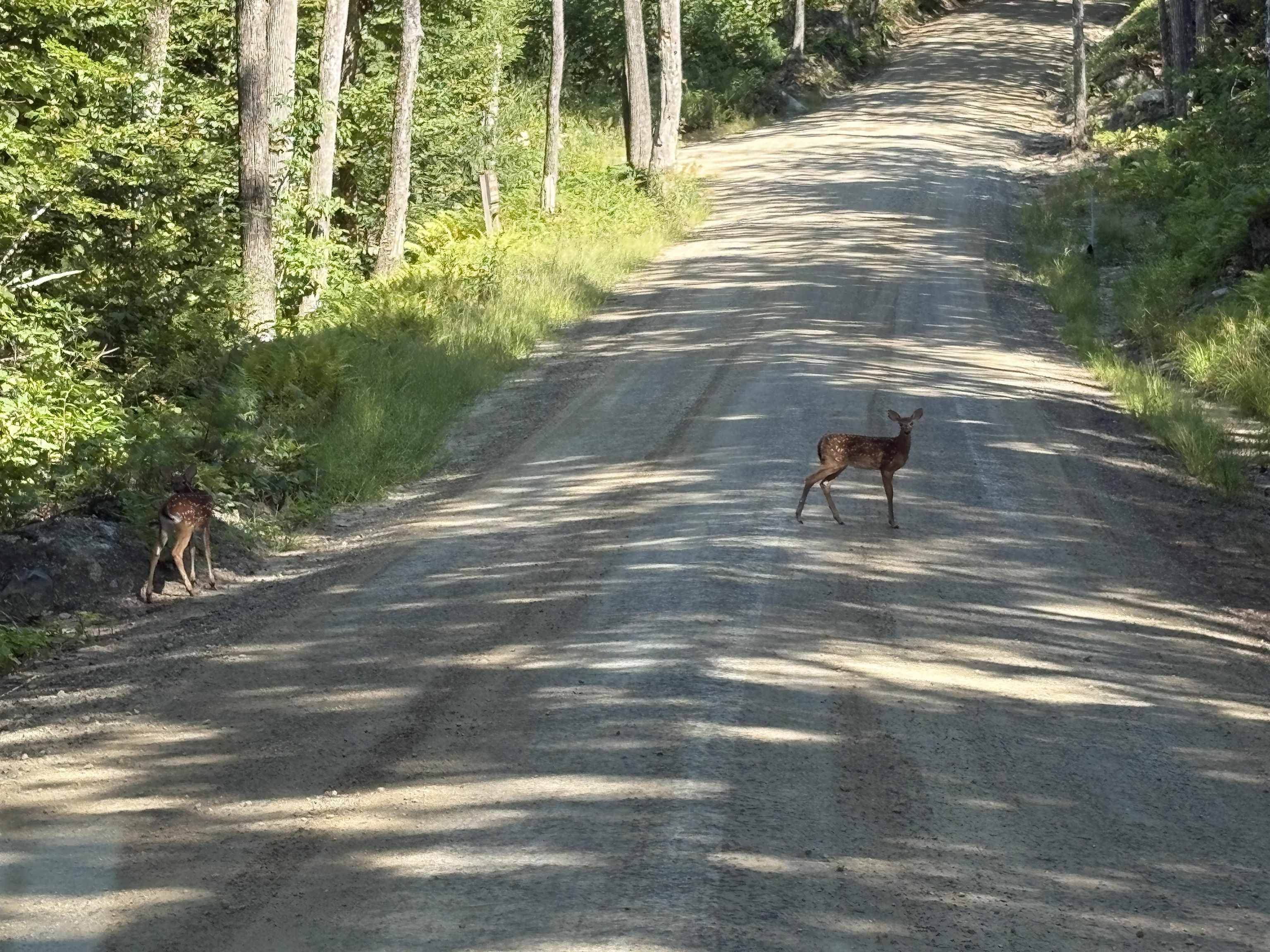 65 Tucker Mountain Road Meredith, NH 03253 - Photo 42 of 44