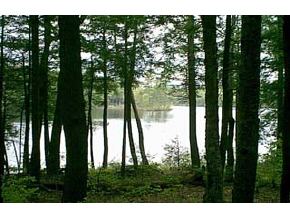 Off Of Timber Bay Road Lovell, ME 04051 - Photo 3 of 5 Gallery Image 3
