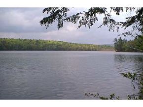 Off Of Timber Bay Road Lovell, ME 04051 - Photo 4 of 5 Gallery Image 4