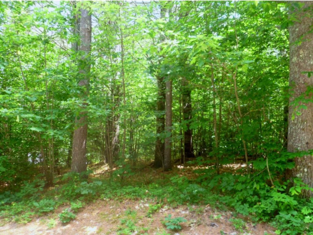 Lot 28 Needle Eye Road Meredith, NH 03253 - Photo 2 of 8