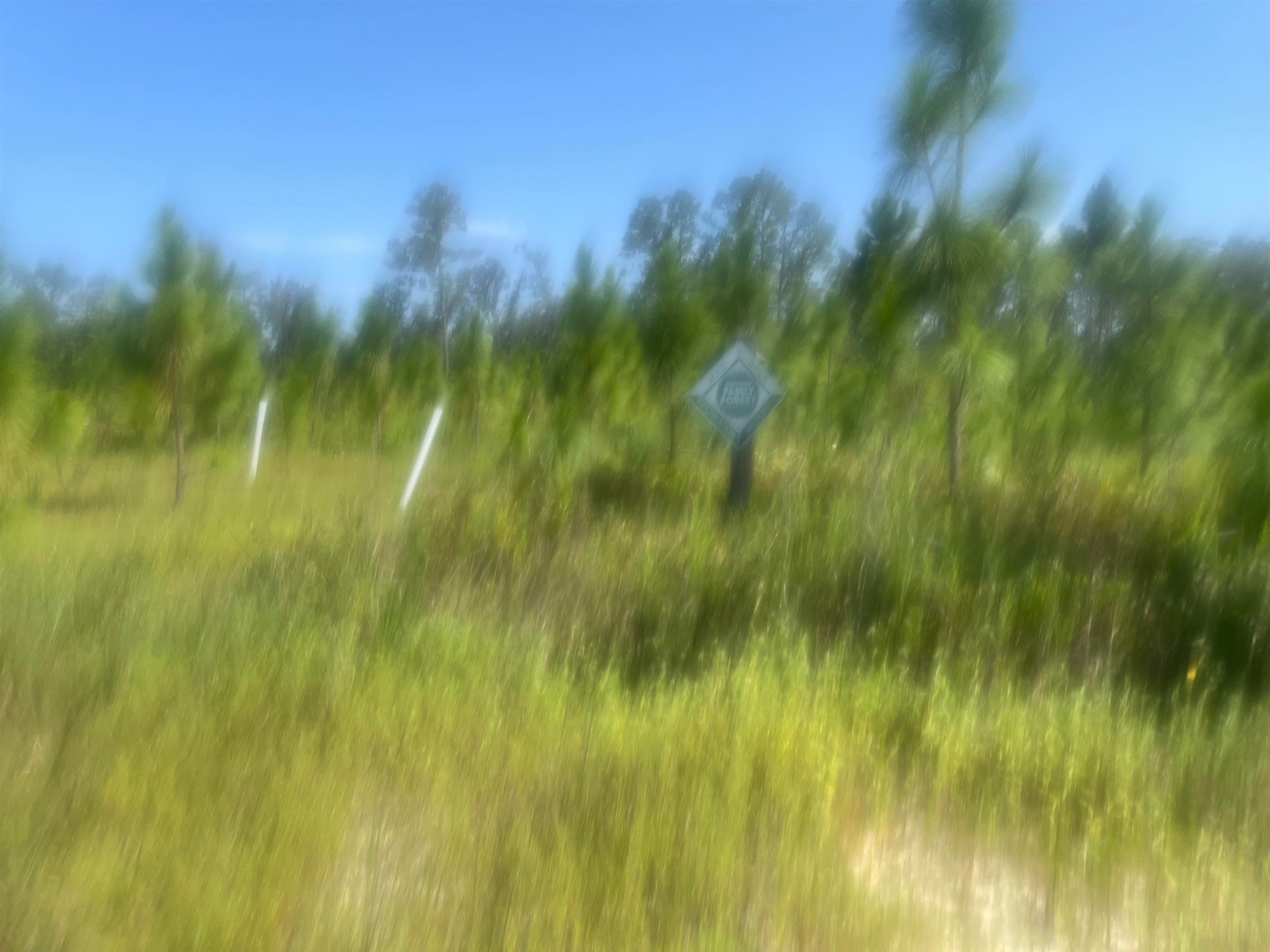 0 Laird Road Florala, AL 36442 - Photo 3 of 6 Gallery Image 3