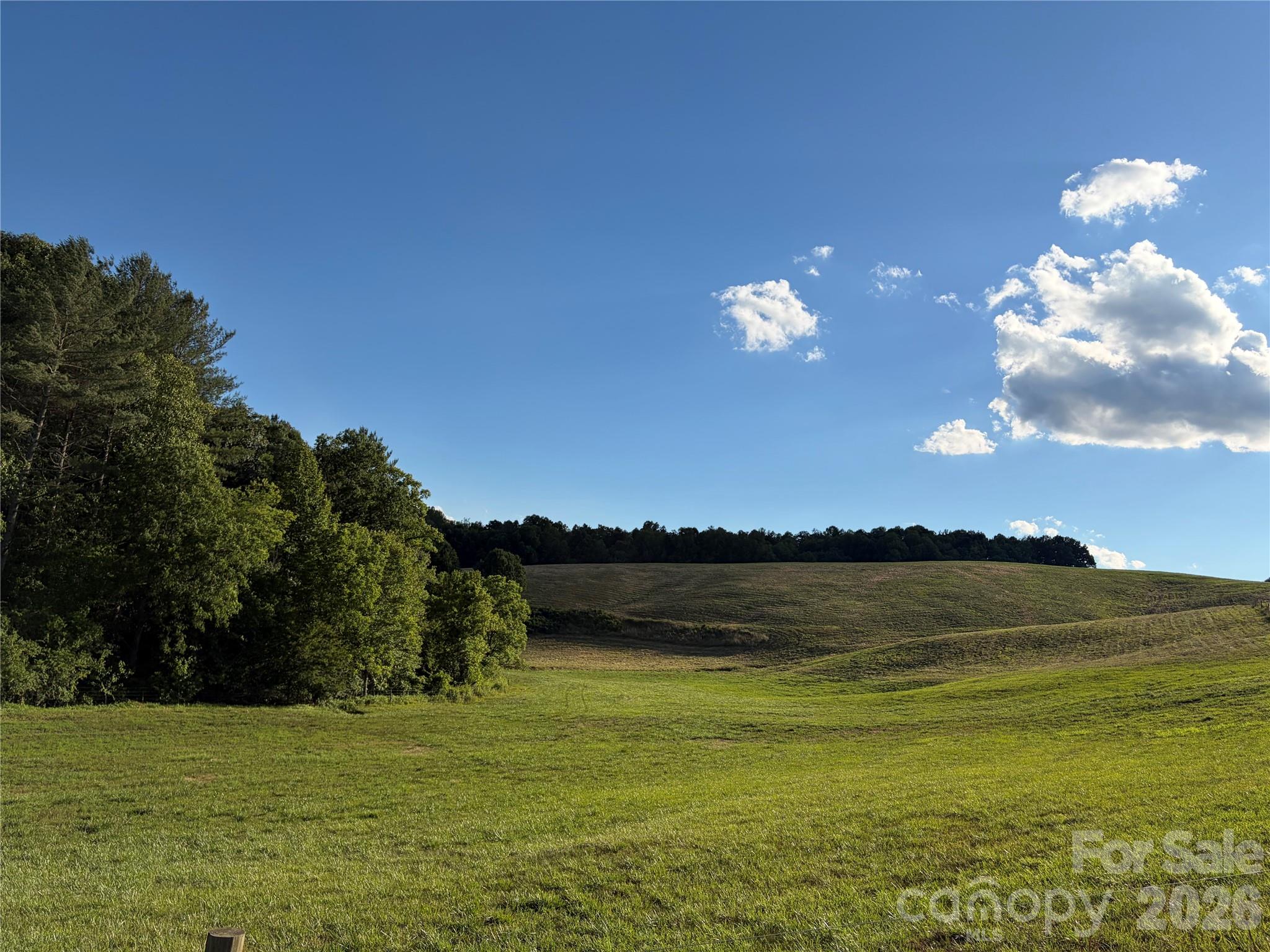 1779 Roundhill Church Road Traphill, NC 28685 - Photo 39 of 41