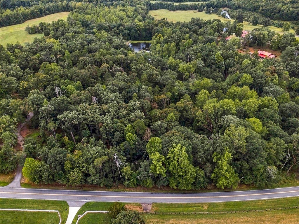 0 Lenhardt Road Easley, SC 29640 - Photo 2 of 11 Mature woodlands border a quiet paved road in this scenic country landscape.