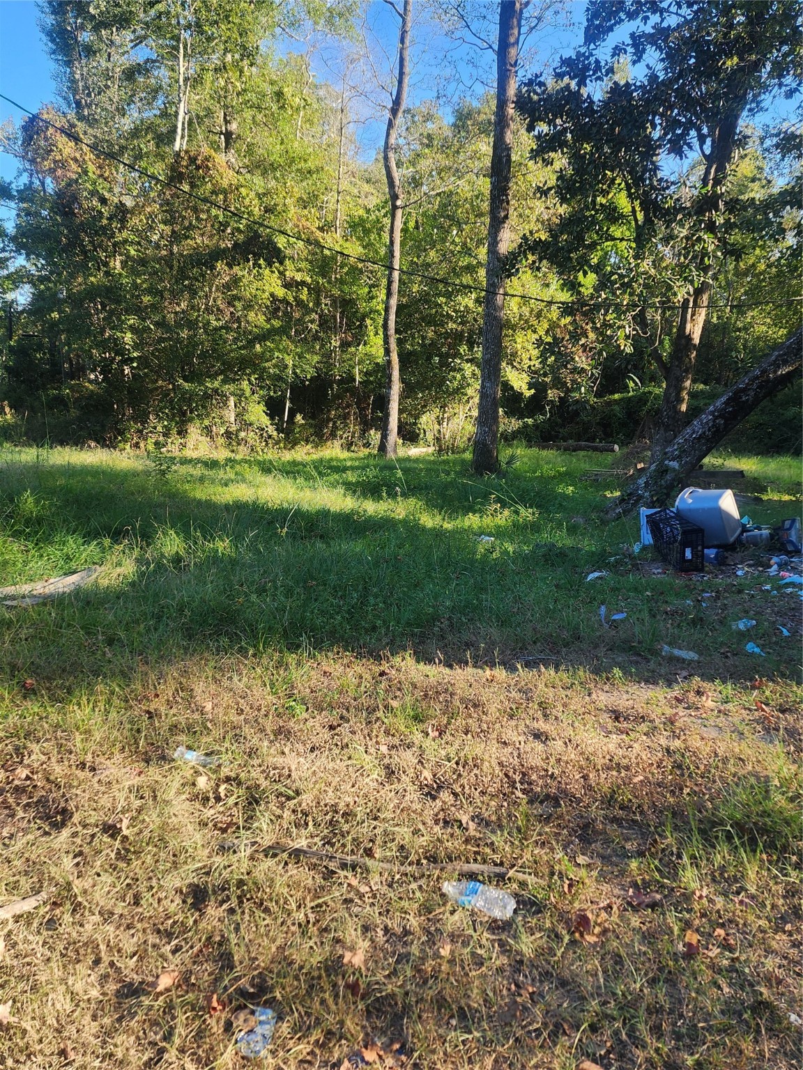300 Jan Road Shepherd, TX 77371 - Photo 4 of 4 a view of a park with plants and trees