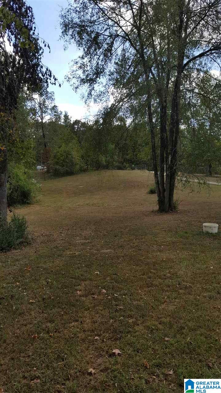 320 Tan Bark Road Warrior, AL 35180 - Photo 5 of 6