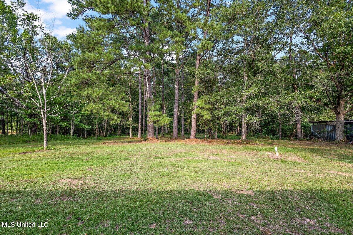 3400 Dry Grove Road Crystal Springs, MS 39059 - Photo 17 of 17 HTP_4797