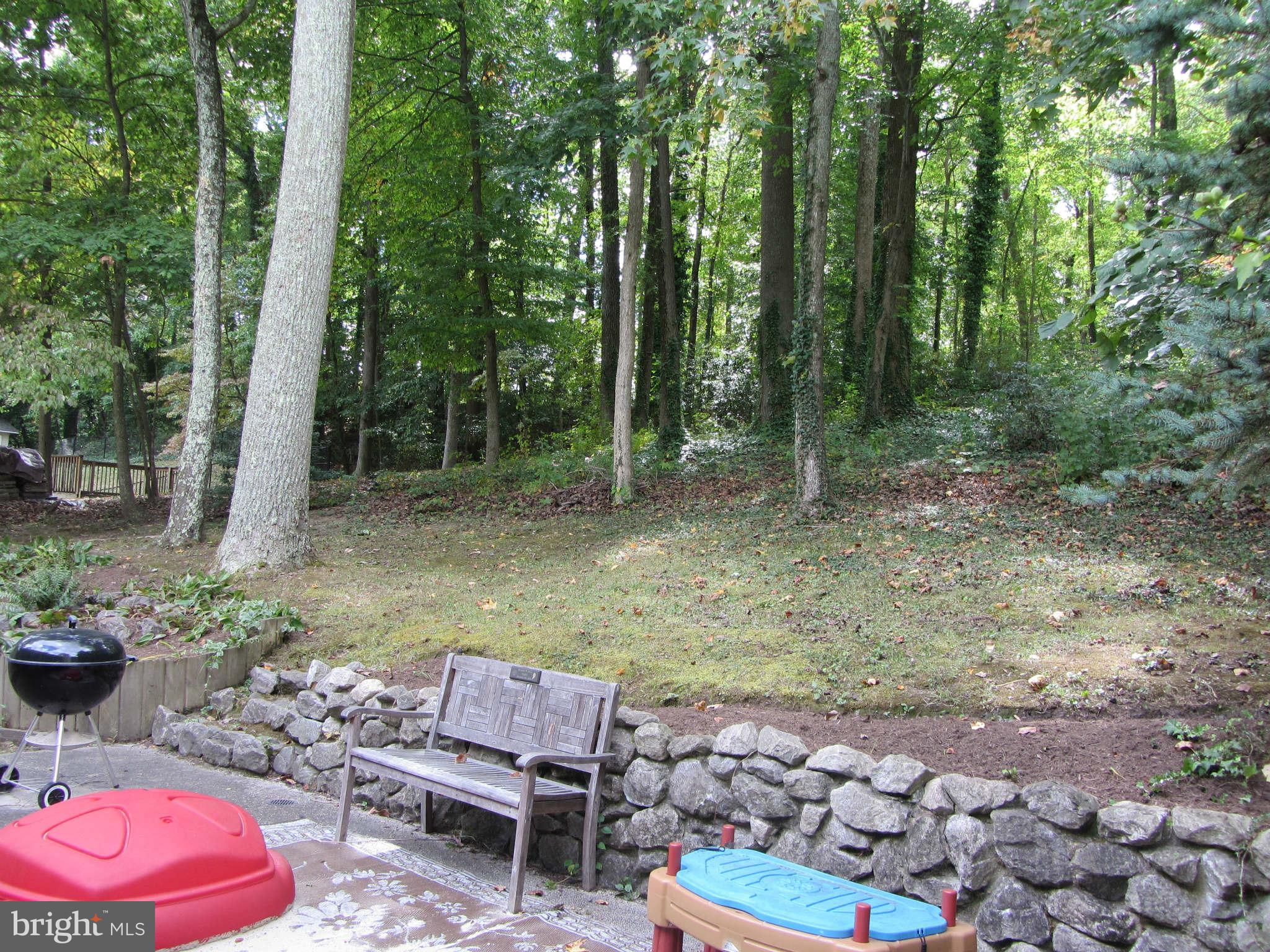 506 Hoot Owl Road Riva, MD 21140 - Photo 18 of 23 Exterior (Rear)