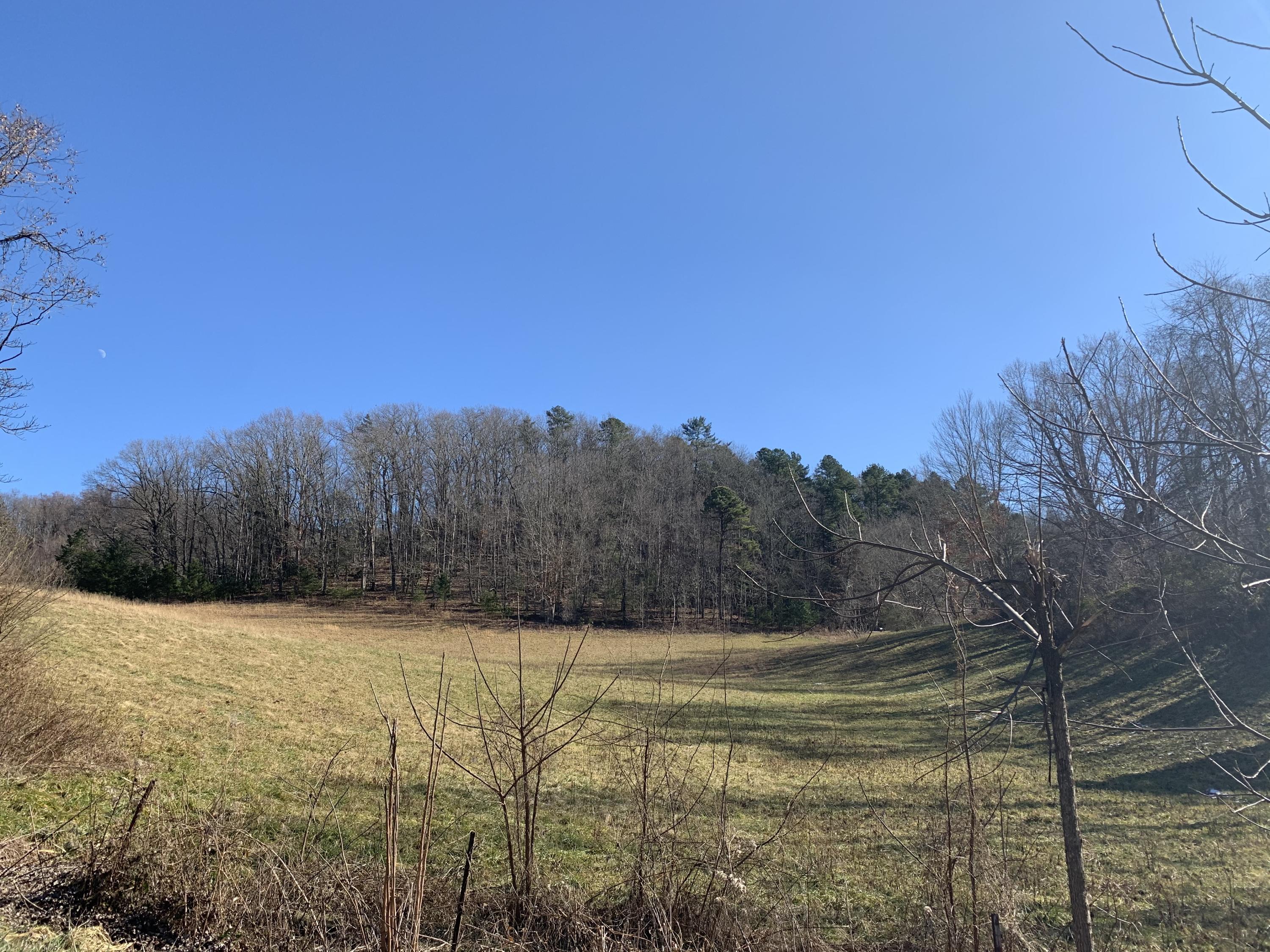 Tbd Marbleton Road Unicoi, TN 37692 - Photo 1 of 6 B7EC815D-4F7E-4B52-AC55-5B8C141DA6D5