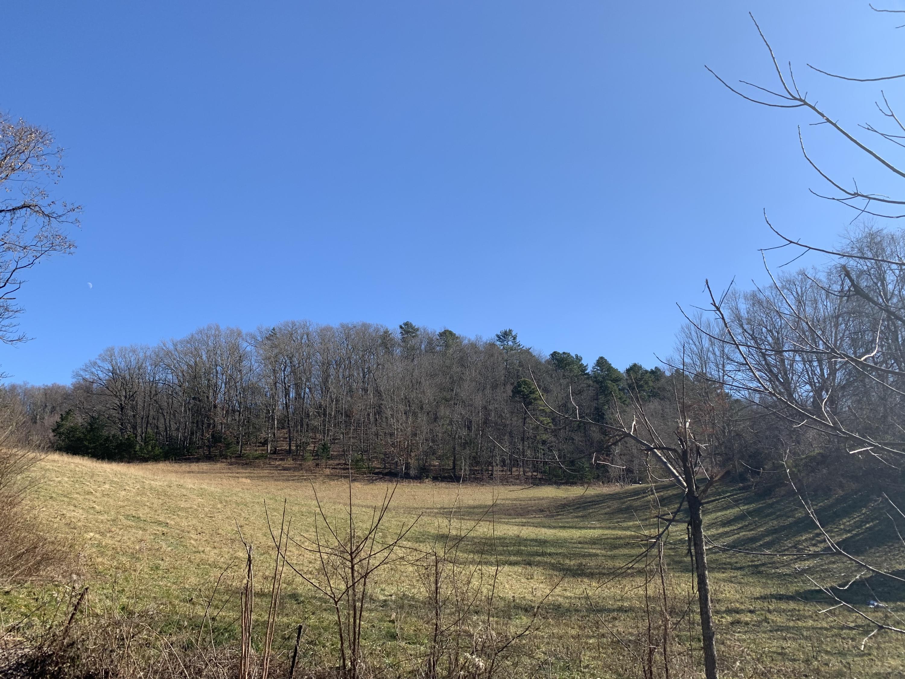 Tbd Marbleton Road Unicoi, TN 37692 - Photo 3 of 6 7EB69229-76D6-4614-8BD0-A9B0DF1E923E