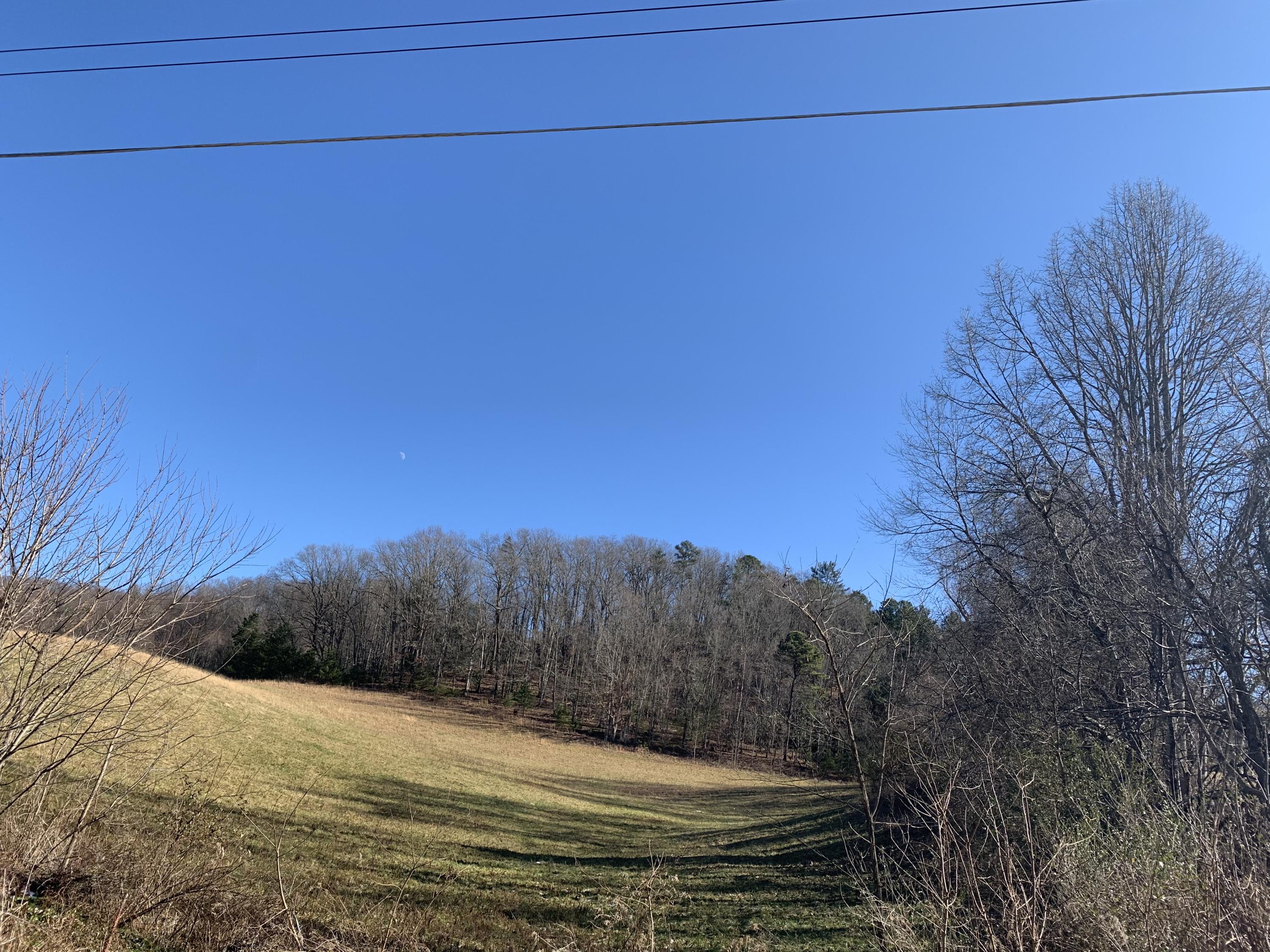 Tbd Marbleton Road Unicoi, TN 37692 - Photo 4 of 6 C66AA950-F670-4031-AC3E-F9BA18089004