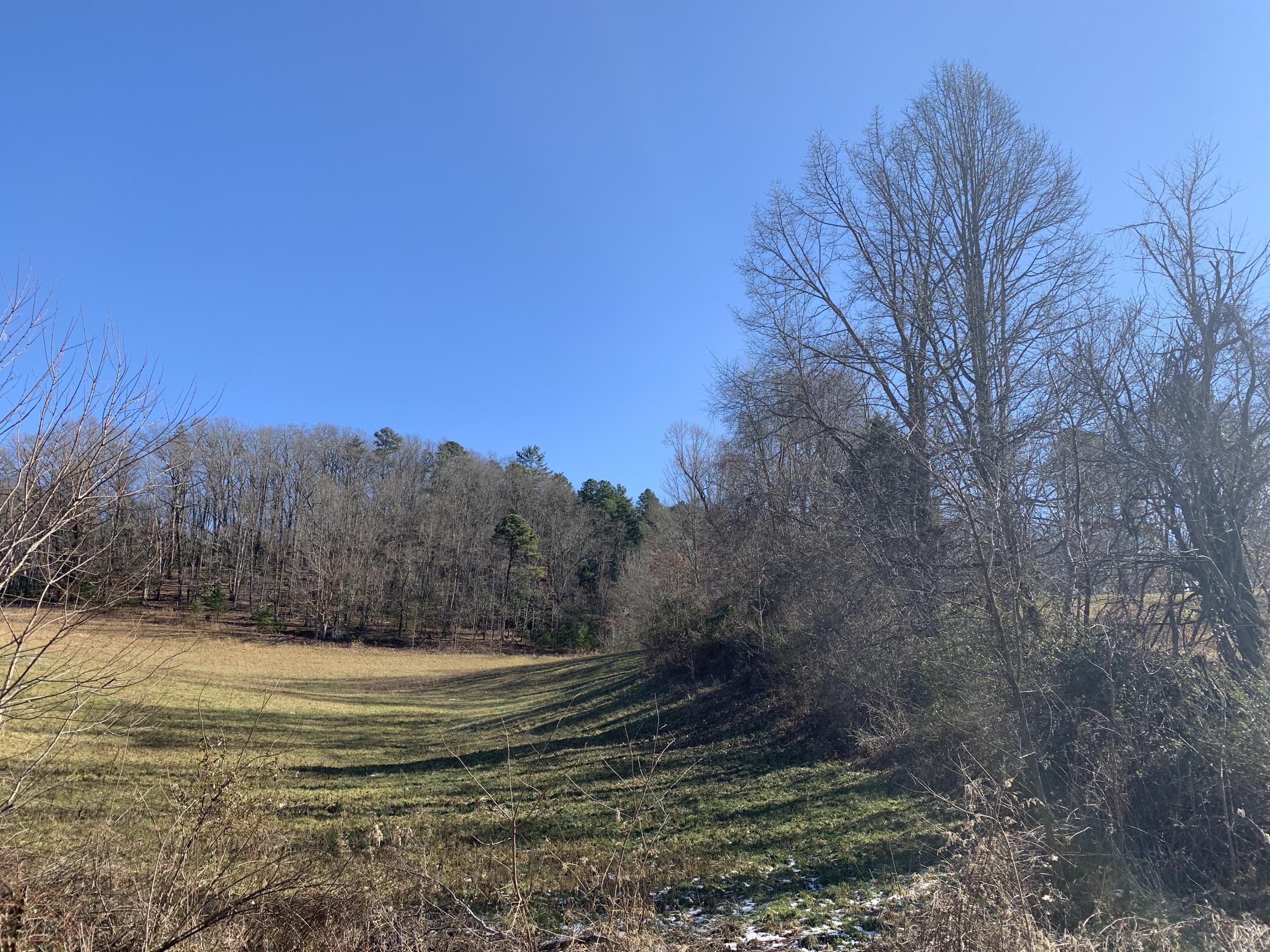 Tbd Marbleton Road Unicoi, TN 37692 - Photo 5 of 6 0A7D37FA-48F4-421B-A39C-6A272F6B222A