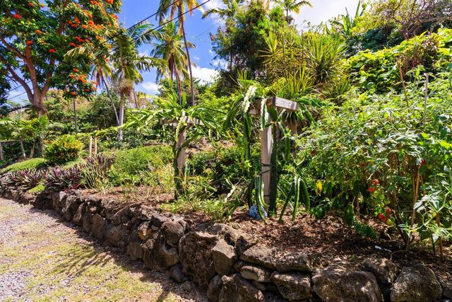 a view of an outdoor space