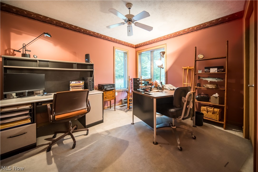 5119 Hattrick Road Ravenna, OH 44266 - Photo 24 of 33 Office space featuring light carpet, a textured ceiling, and ceiling fan