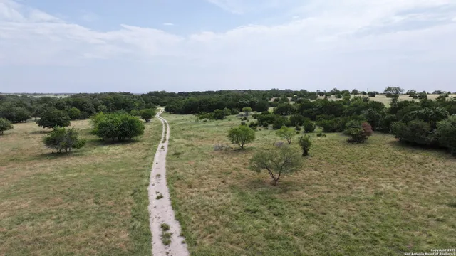 a view of a dry yard with trees