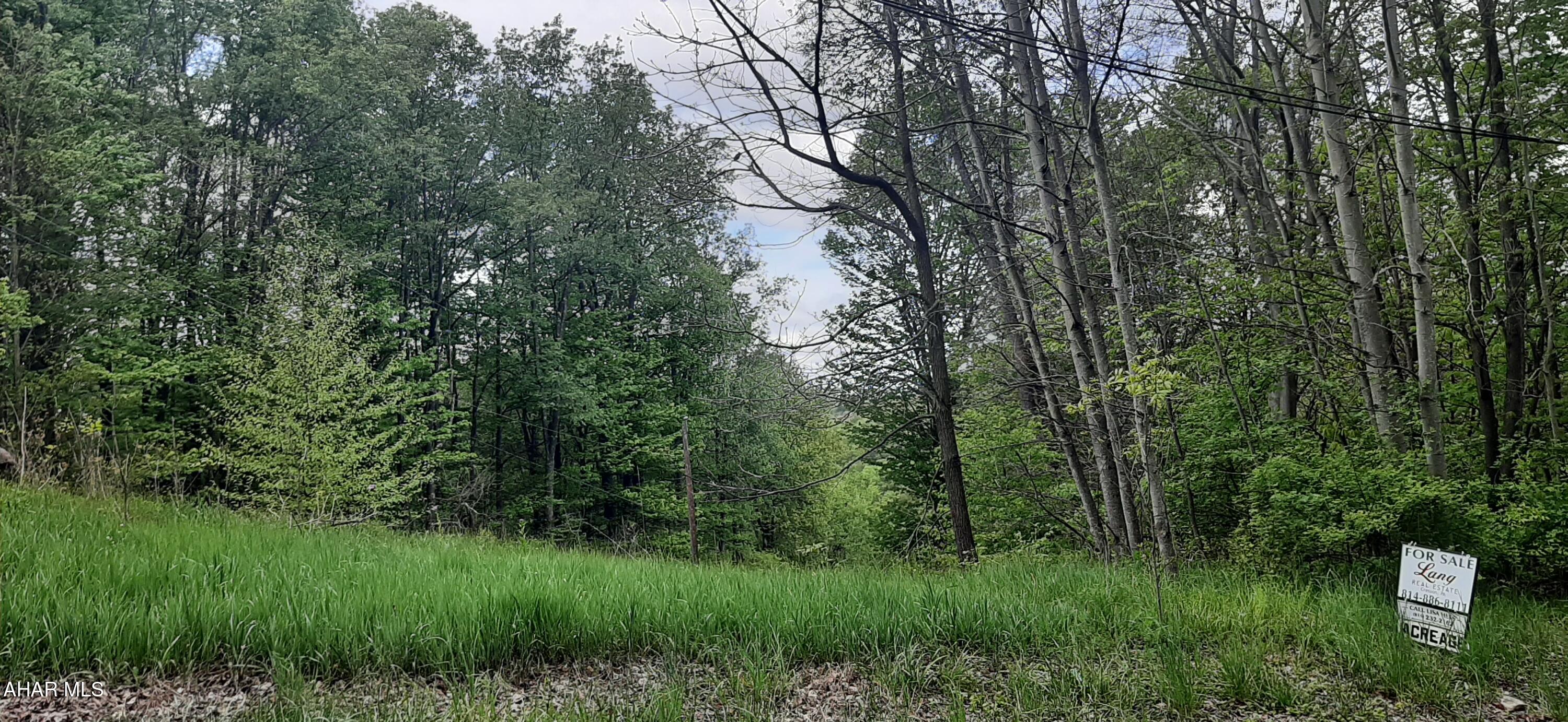 0 Scanlon Hill Road Lilly, PA 15938 - Photo 3 of 7