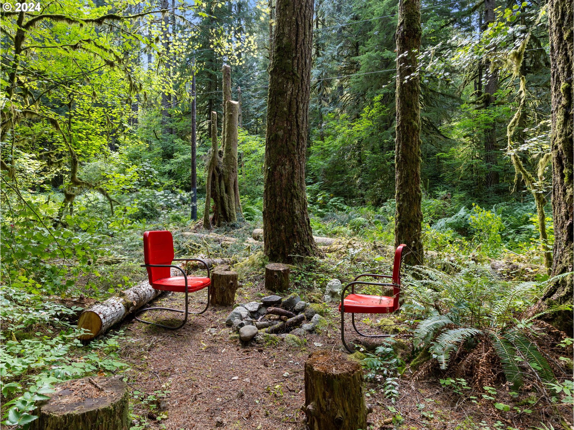 26721 Still Creek Road, Unit LOT 14 Rhododendron, OR 97049 - Photo 40 of 45 Gallery Image 40