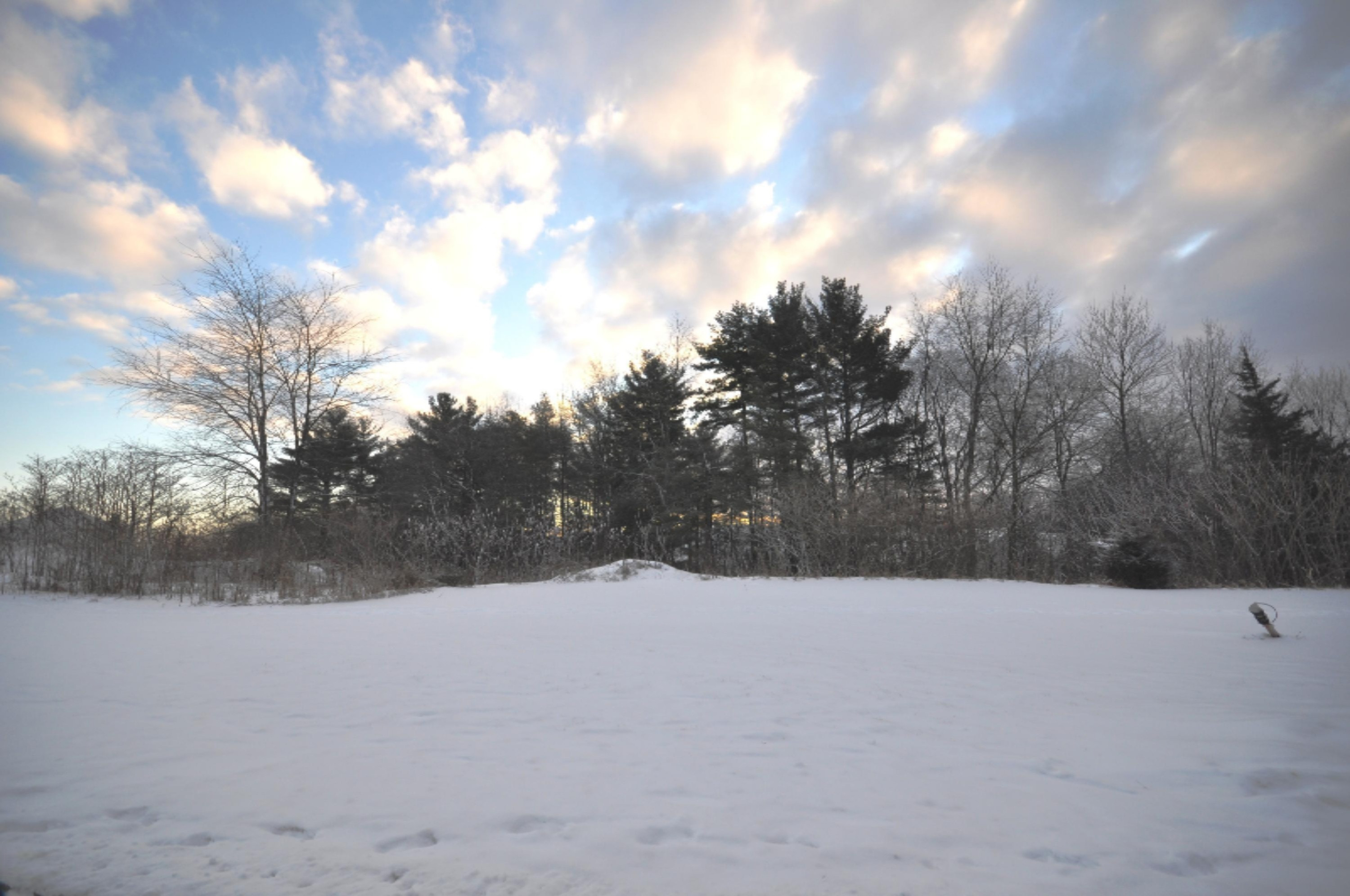 2648 Hunters Point Kalamazoo, MI 49048 - Photo 3 of 3 Snow Lot 59