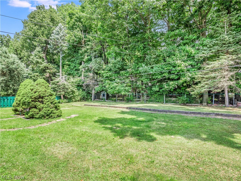 1047 Roland Road Lyndhurst, OH 44124 - Photo 25 of 26 Fenced-In and Wooded Backyard is very private and spacious.