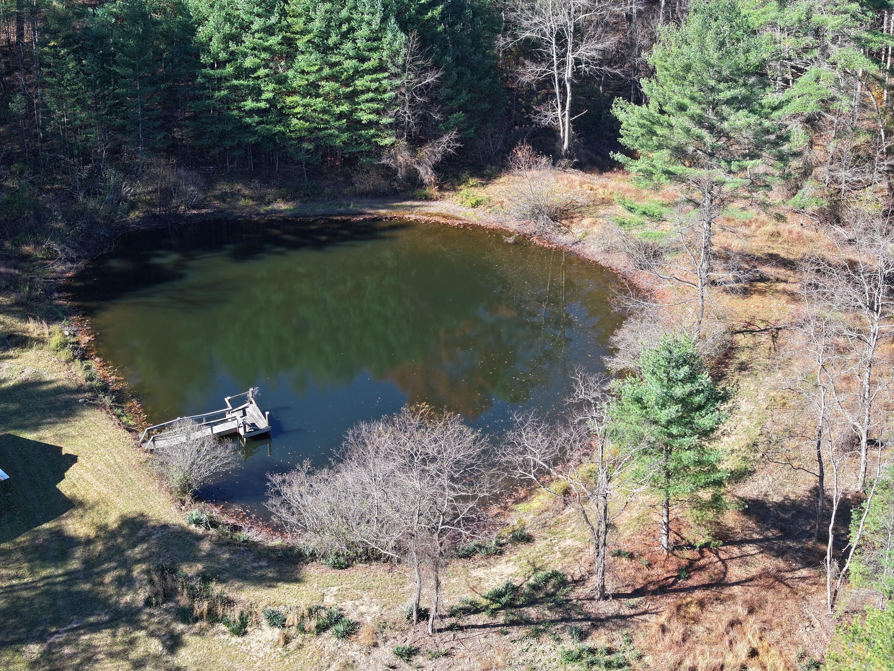 1080 Roxalia Turnpike Road Gap Mills, WV 24941 - Photo 59 of 81 DJI_20251024163251_0040_D