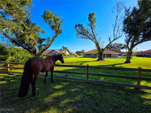a view of a bench in a garden