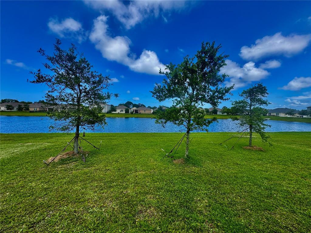 1913 Glenbrooke Road Edgewater, FL 32141 - Photo 2 of 26