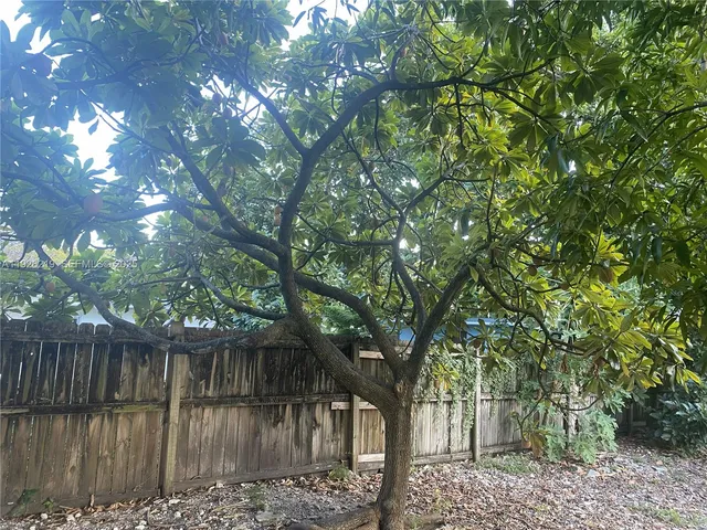 a view of backyard with large trees and wooden fence