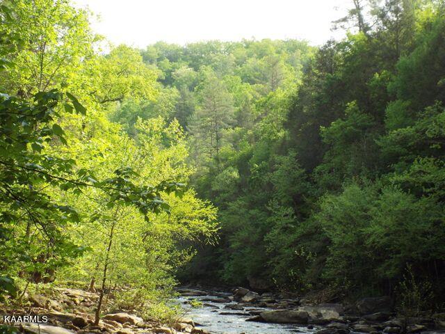 Lot 56 Emory Heights Road Lancing, TN 37770 - Photo 11 of 14 20210422191258849322000000-o