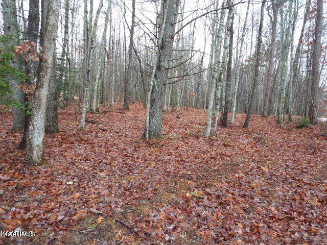 Lot 56 Emory Heights Road Lancing, TN 37770 - Photo 6 of 14 20221118183757887446000000-o