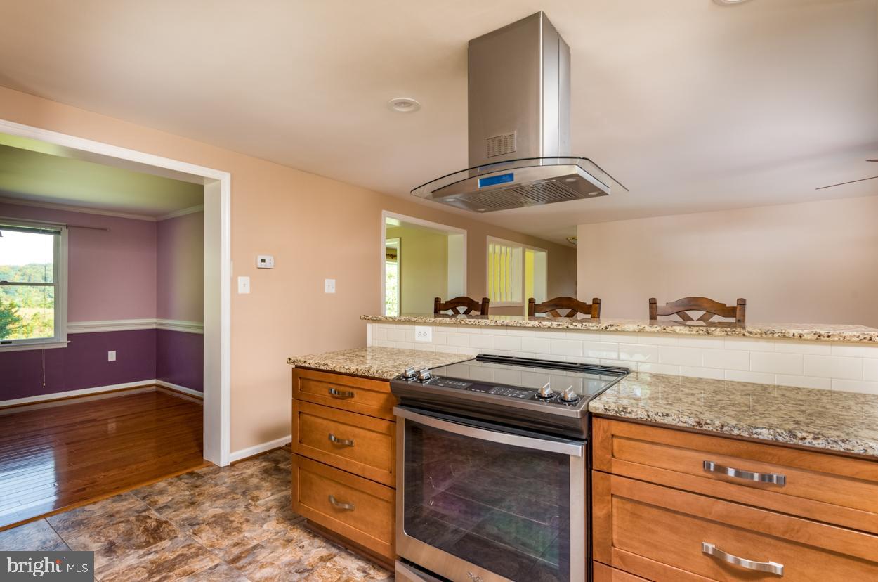 13260 Korea Road Rixeyville, VA 22737 - Photo 14 of 59 Kitchen with view to Dinning Room