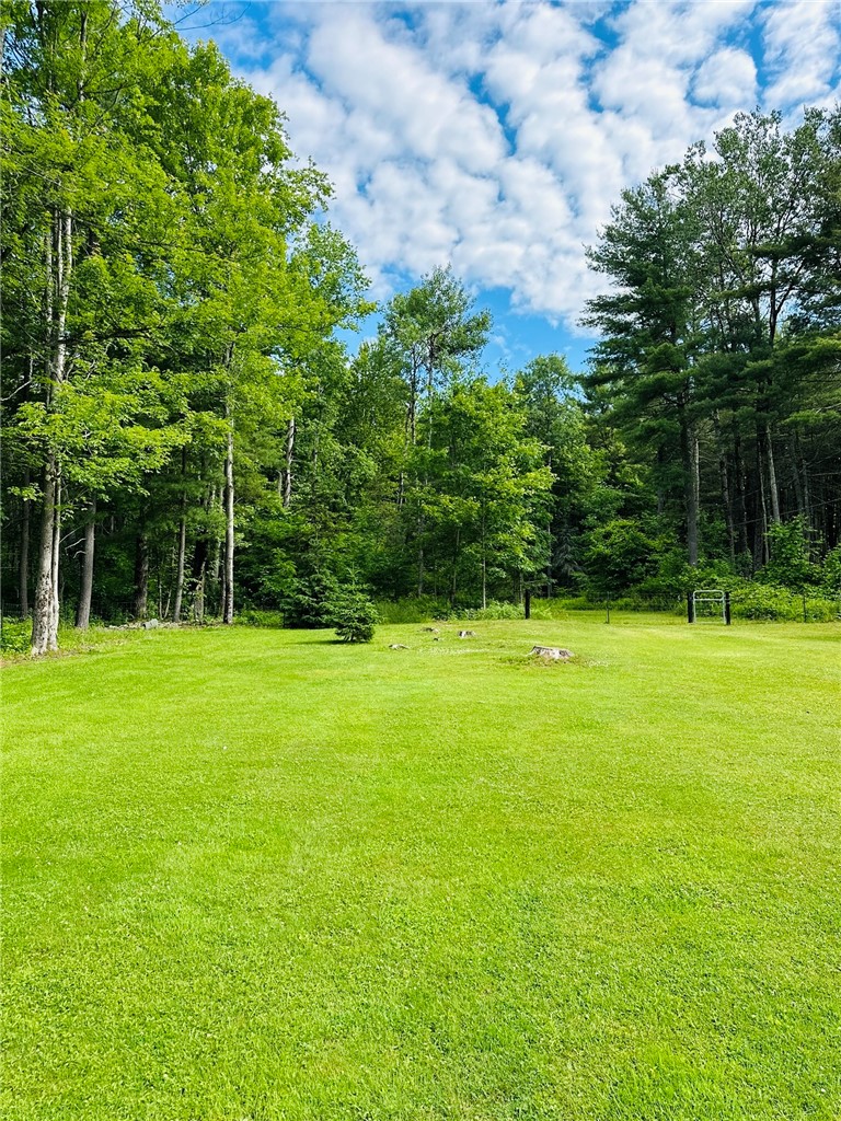 385 Lyon Road Bainbridge, NY 13733 - Photo 6 of 25
