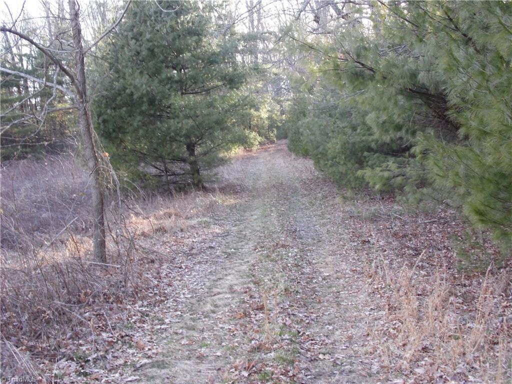 Tbd Shawtown Road Ennice, NC 28623 - Photo 14 of 19 Gallery Image 14