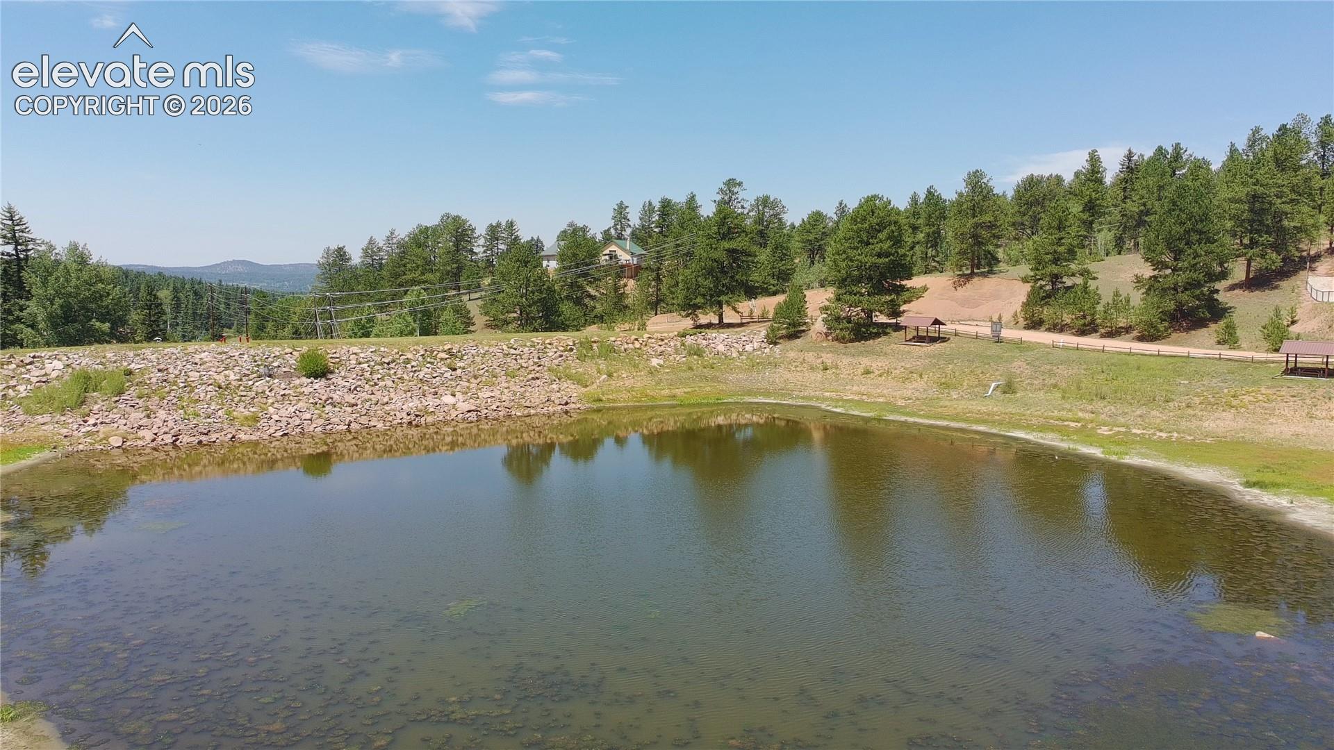 787 Spring Valley Lane Florissant, CO 80816 - Photo 19 of 21 Gallery Image 19