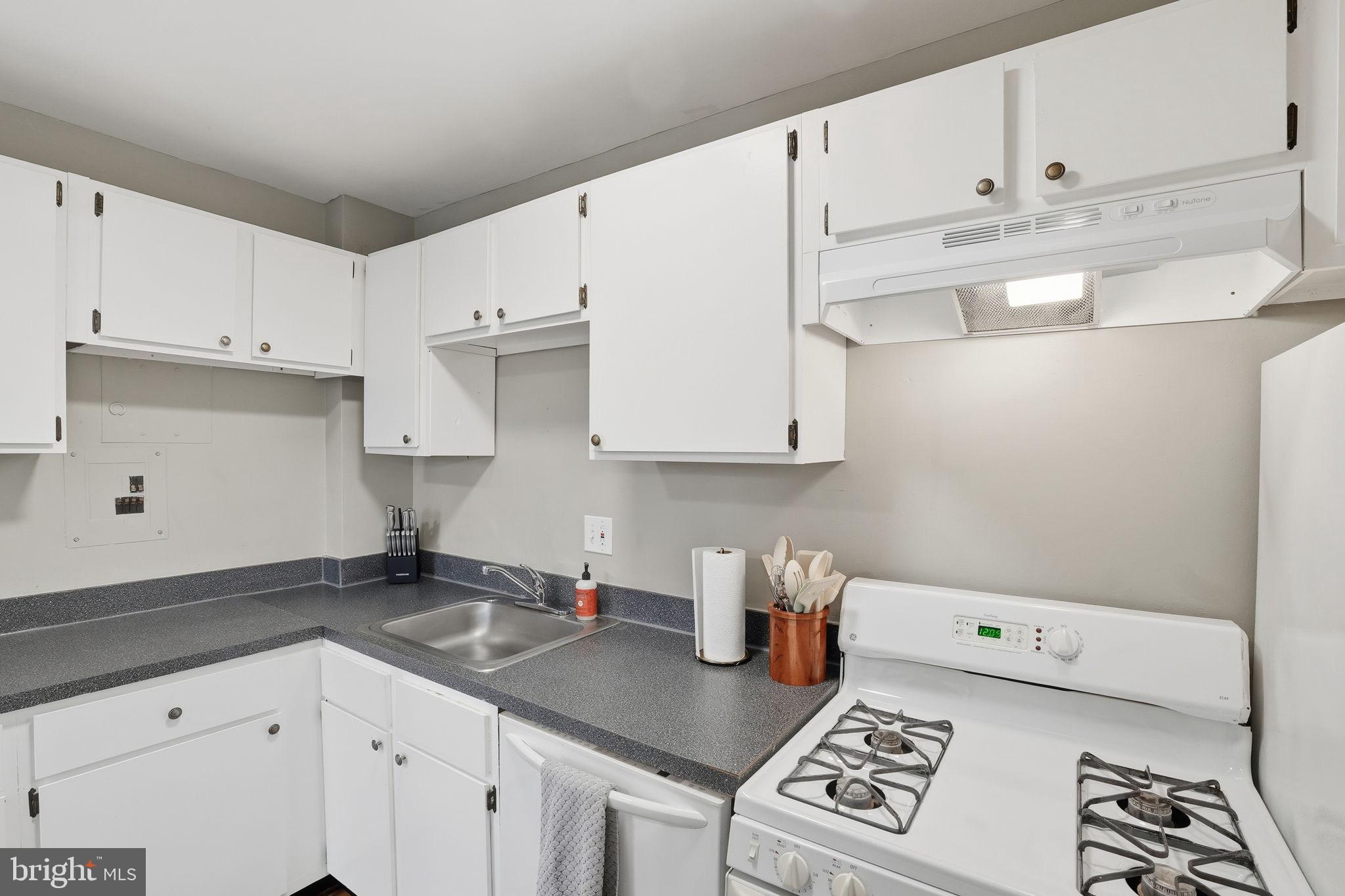 1300 South Arlington Ridge Road, Unit 204 Arlington, VA 22202 - Photo 13 of 35 a kitchen with a sink a stove and cabinets