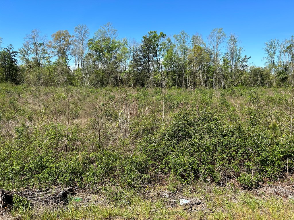 18-ac 18-ac State Line Rd/sealy Springs Road Cottonwood, AL 36320 - Photo 14 of 31 Gallery Image 14