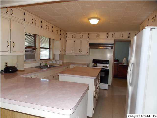 225 Plain View Drive Oneonta, AL 35121 - Photo 6 of 29 Gallery Image 6