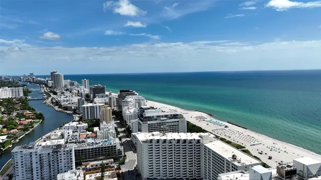 a view of a yard with plants