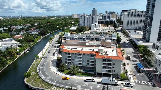 a view of a bunch of flowers