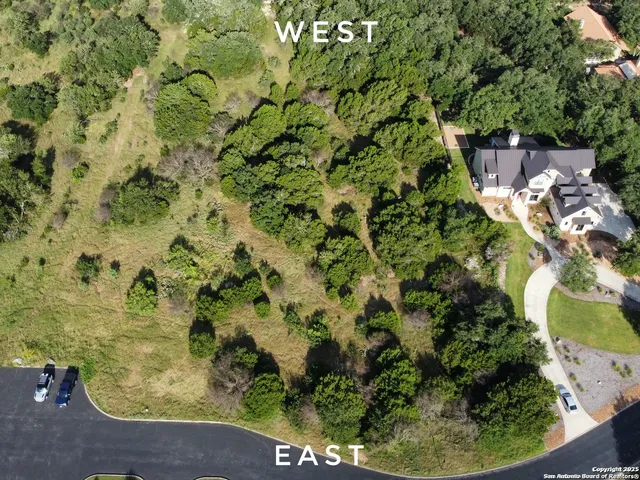 a view of a yard with plants