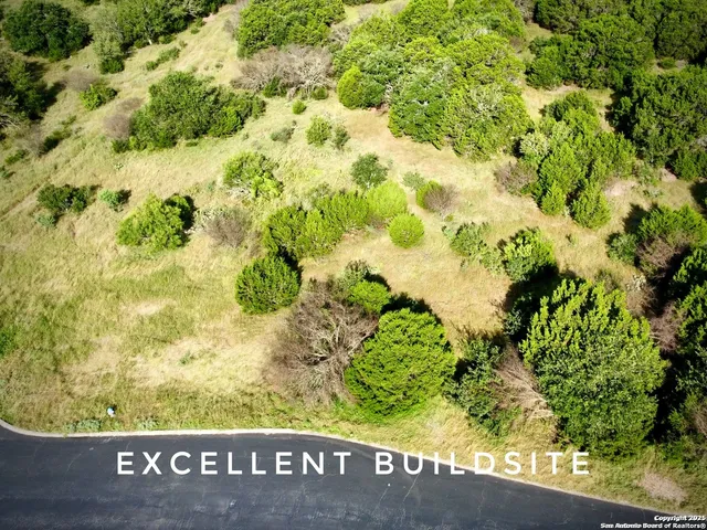 a view of a yard with plants