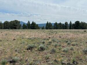 0 Rim Drive, Unit LOT 29 Chiloquin, OR 97639 - Photo 3 of 5 3