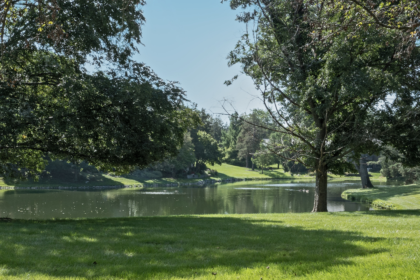 463 Woodview Road Lake Barrington, IL 60010 - Photo 11 of 16 Gallery Image 11
