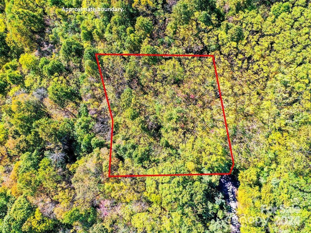 204 Wakefield Way Mill Spring, NC 28756 - Photo 5 of 5 Gallery Image 5