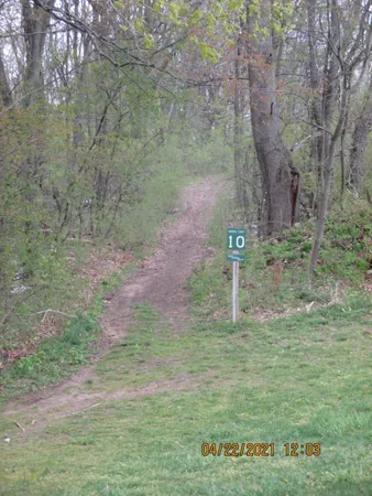 $410,000 | 6313 Sweet Clover Hills Drive, Jonesville, MI 49250