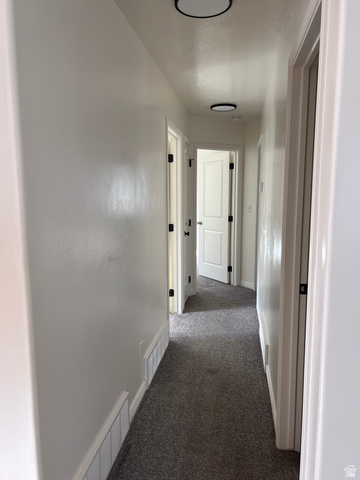 1696 South Longview Road Santaquin, UT 84655 - Photo 7 of 16 Hall with dark carpet and baseboards