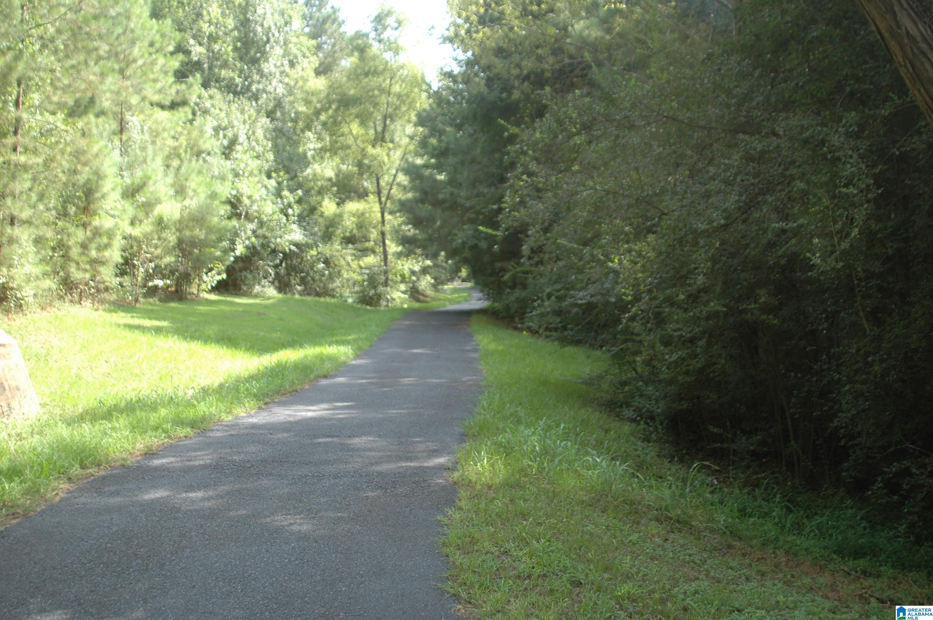 89 Maple Trace Birmingham, AL 35244 - Photo 44 of 48