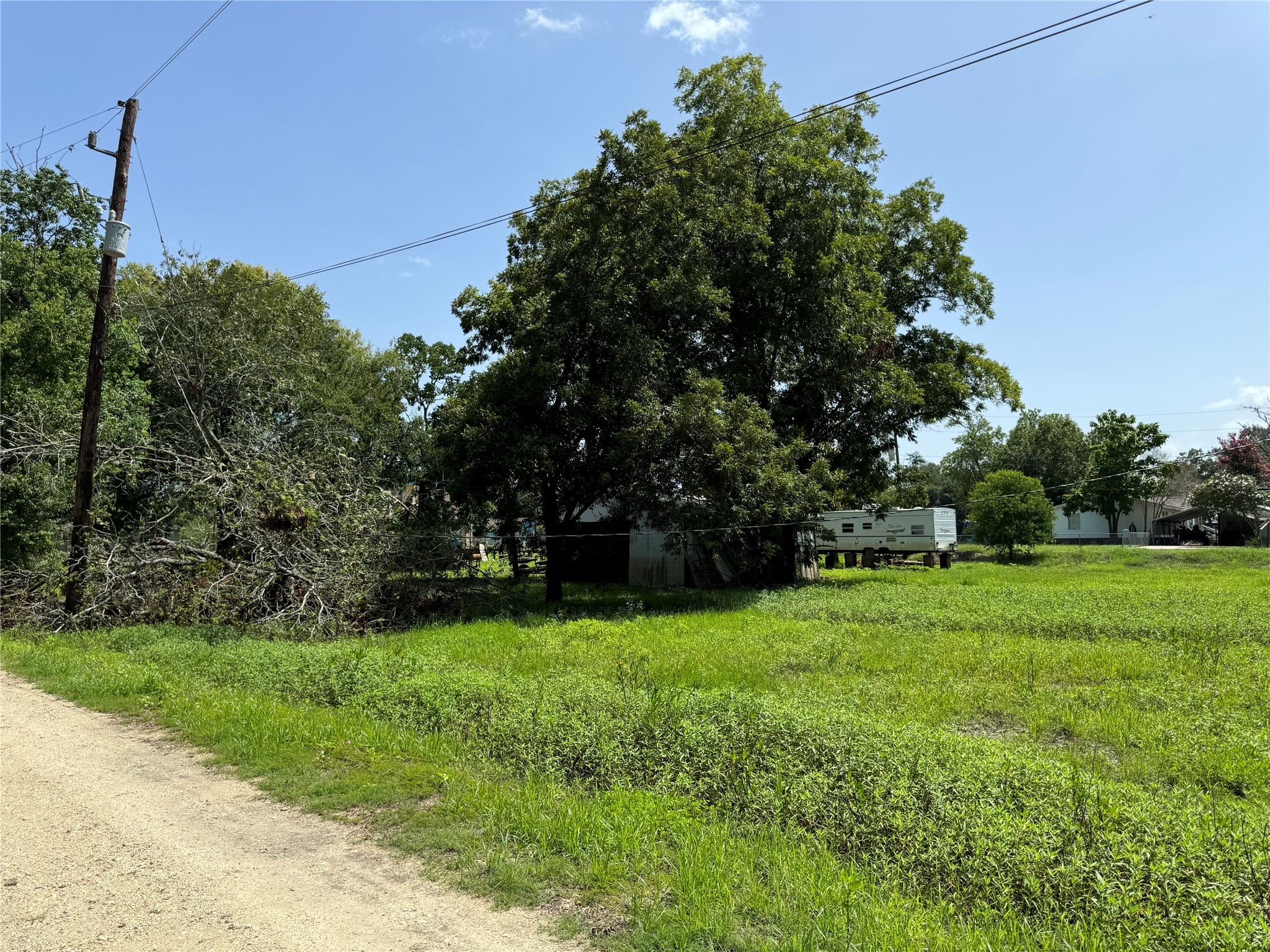 Tbd White Oak Drive Trinity, TX 75862 - Photo 1 of 5 a view of a grassy field with trees