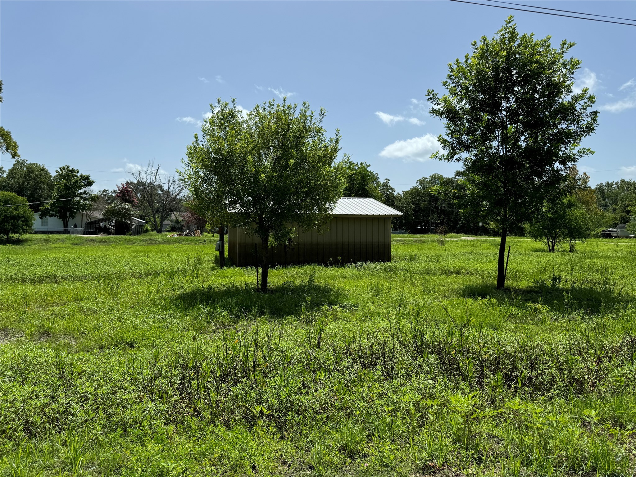 Tbd White Oak Drive Trinity, TX 75862 - Photo 4 of 5