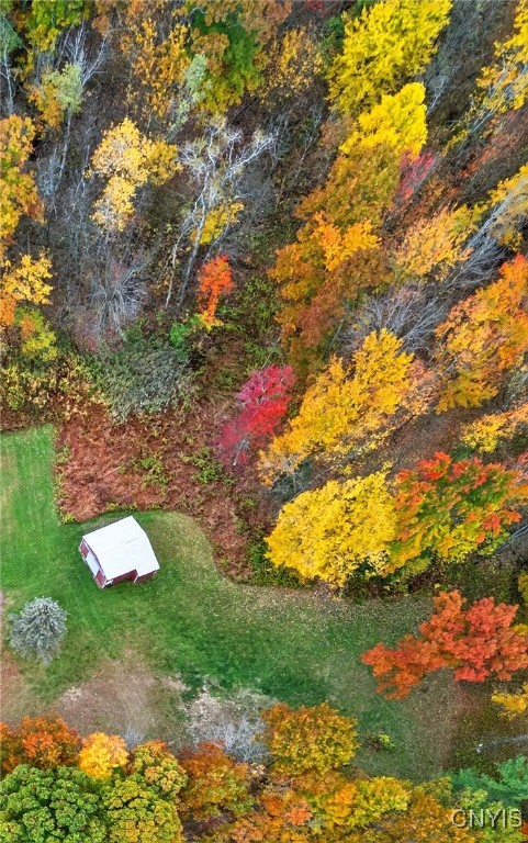 Tannery Road Constantia, NY 13044 - Photo 5 of 6